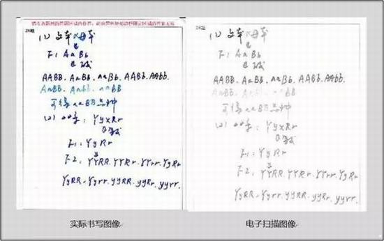 【电脑阅卷】试卷扫描后啥样？评卷误差咋回事？