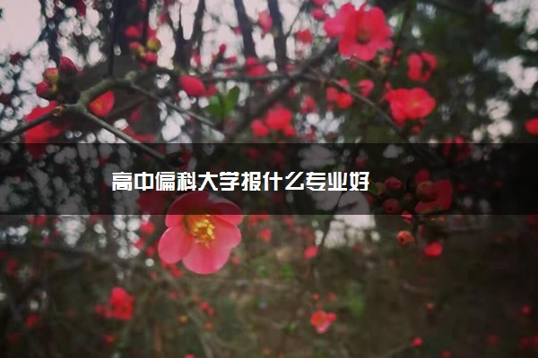 高中偏科大学报什么专业好