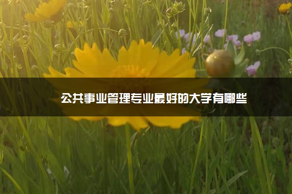 公共事业管理专业最好的大学有哪些