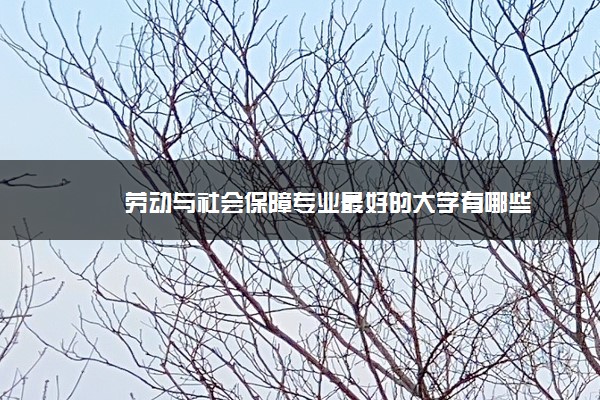 劳动与社会保障专业最好的大学有哪些