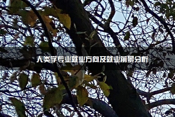 人类学专业就业方向及就业前景分析