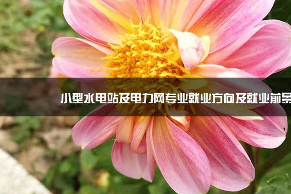 小型水电站及电力网专业就业方向及就业前景分析