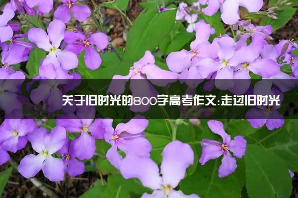 关于旧时光的800字高考作文:走过旧时光