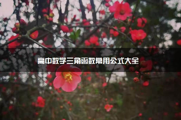 高中数学三角函数常用公式大全