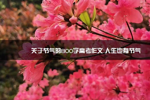 关于节气的800字高考作文：人生也有节气