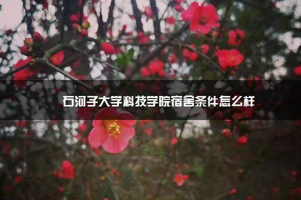 石河子大学科技学院宿舍条件怎么样