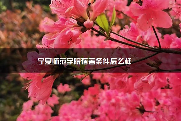 宁夏师范学院宿舍条件怎么样