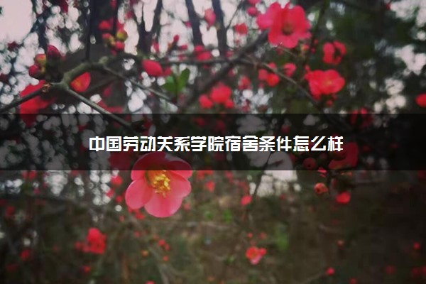 中国劳动关系学院宿舍条件怎么样