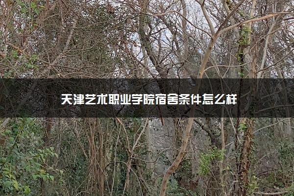 天津艺术职业学院宿舍条件怎么样