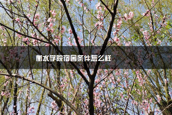 衡水学院宿舍条件怎么样