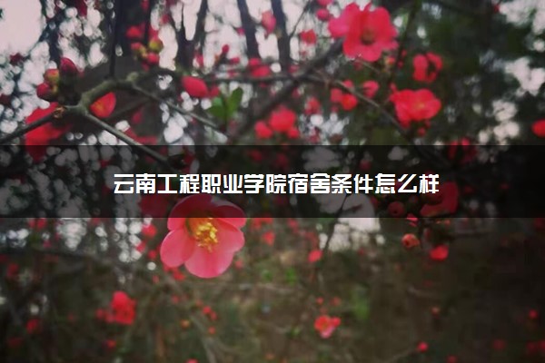 云南工程职业学院宿舍条件怎么样