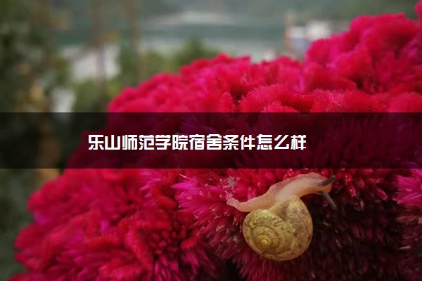 乐山师范学院宿舍条件怎么样