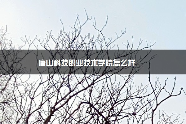 唐山科技职业技术学院怎么样