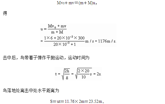 关于动量守恒定律的物理题应该怎么做?