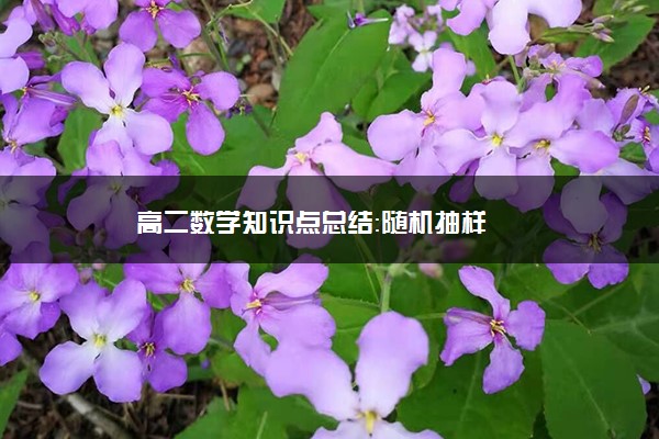 高二数学知识点总结：随机抽样