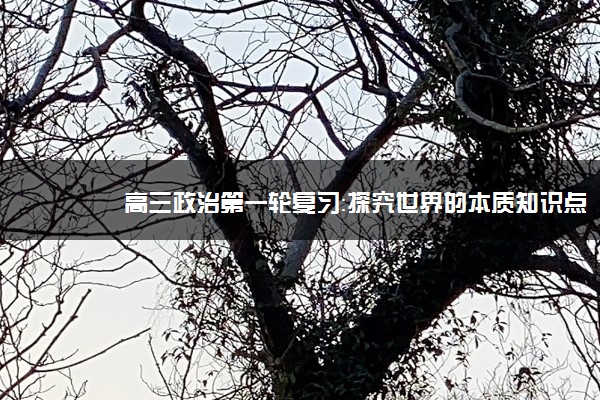 高三政治第一轮复习：探究世界的本质知识点