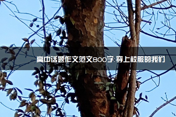 高中话题作文范文800字：穿上校服的我们最美