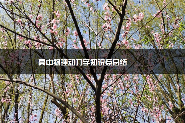 高中物理动力学知识点总结