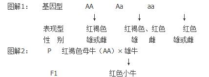 解读：高考生物选择题解题技巧与方法