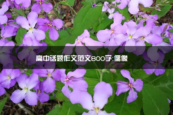 高中话题作文范文800字：偶像