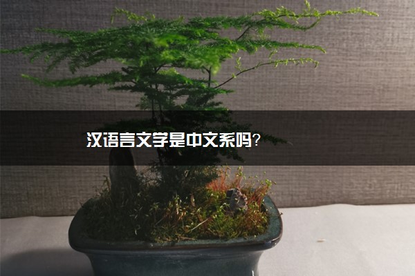 汉语言文学是中文系吗？