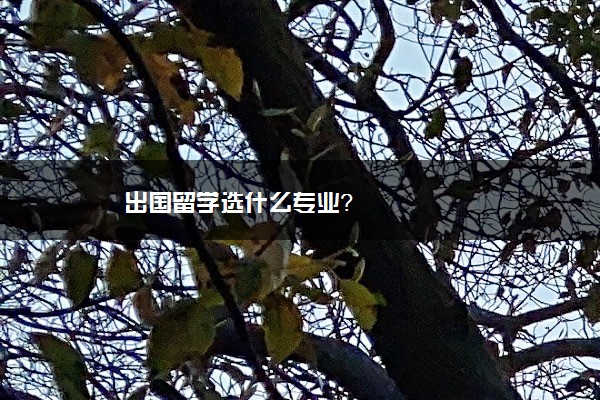 出国留学选什么专业？