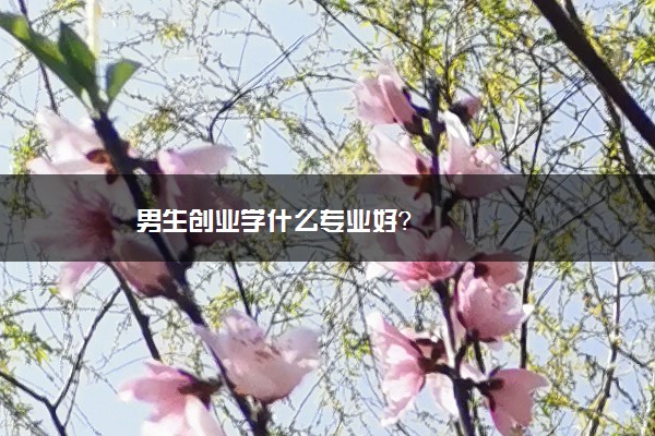 男生创业学什么专业好？