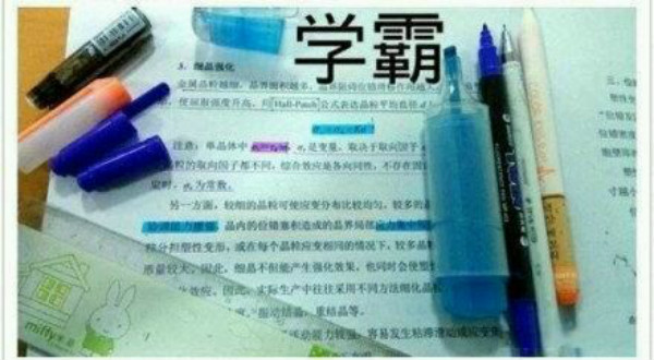 学神学霸等级排列有图