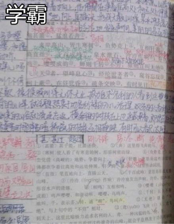 学神学霸等级排列有图