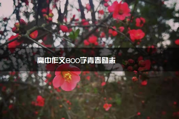 高中作文800字青春励志