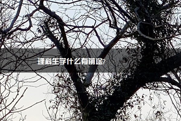 理科生学什么有前途?