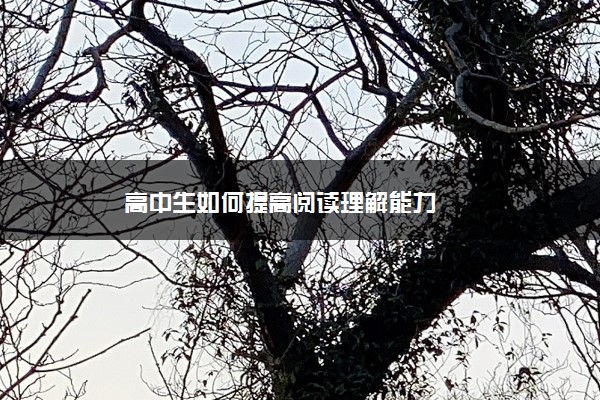 高中生如何提高阅读理解能力