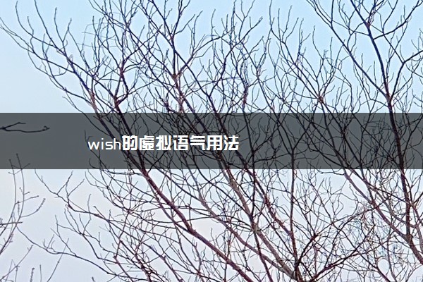 wish的虚拟语气用法