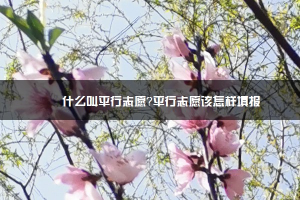 什么叫平行志愿？平行志愿该怎样填报