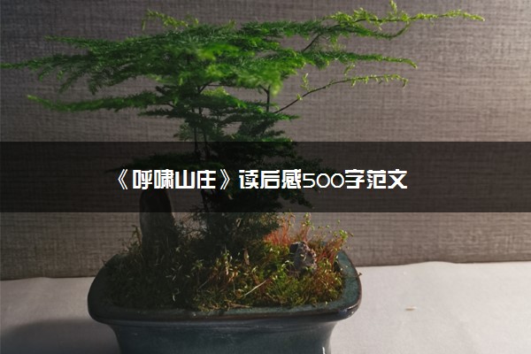 《呼啸山庄》读后感500字范文