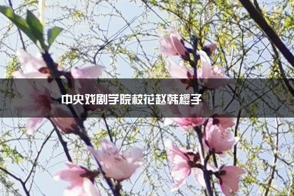 中央戏剧学院校花赵韩樱子