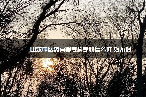 山东中医药高等专科学校怎么样 好不好