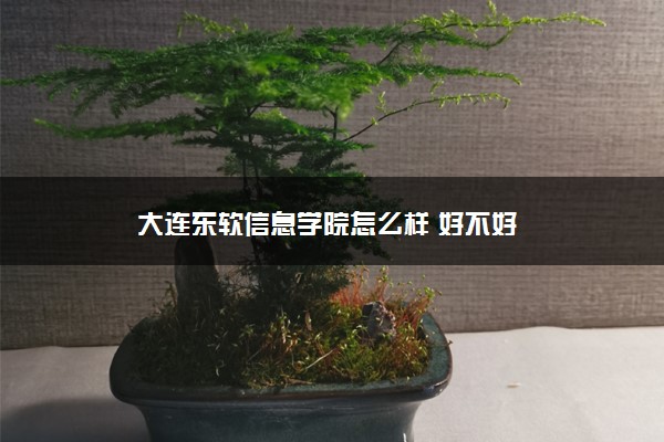 大连东软信息学院怎么样 好不好