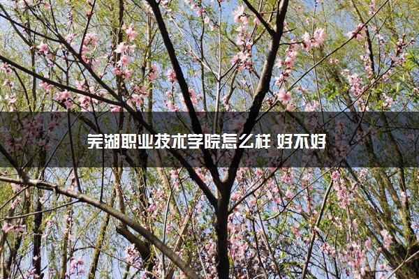 芜湖职业技术学院怎么样 好不好