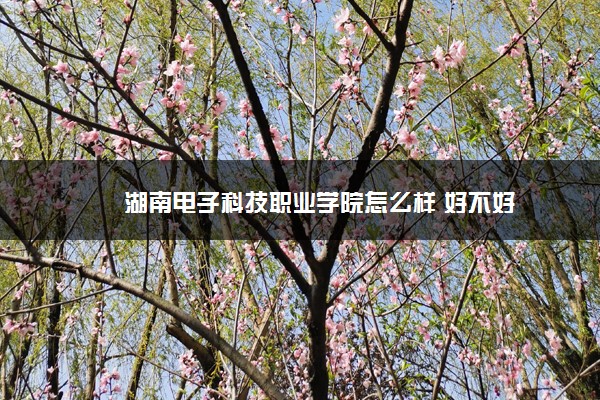 湖南电子科技职业学院怎么样 好不好