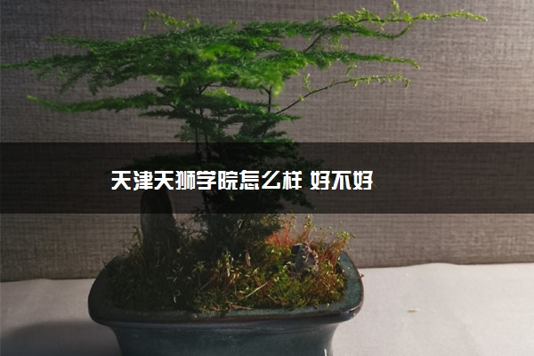 天津天狮学院怎么样 好不好