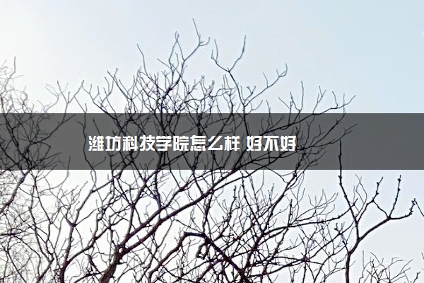 潍坊科技学院怎么样 好不好