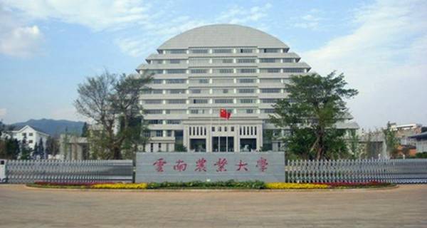 云南省本科大学有哪些