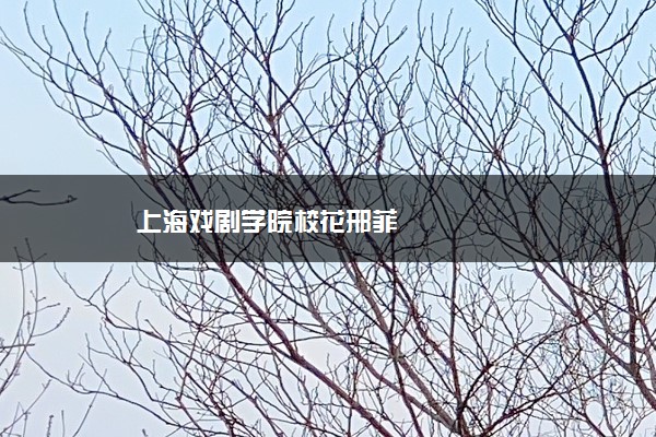 上海戏剧学院校花邢菲