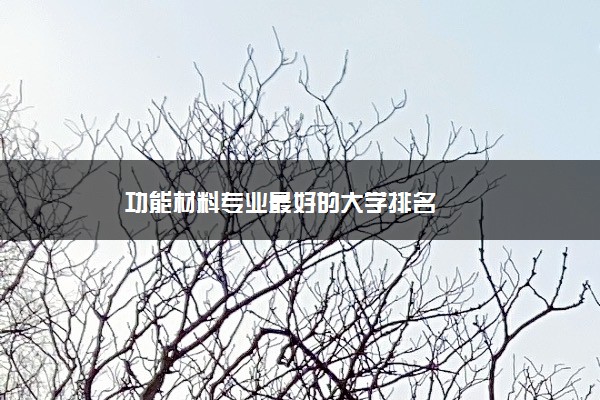 功能材料专业最好的大学排名