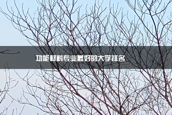 功能材料专业最好的大学排名