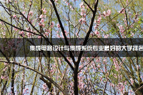 集成电路设计与集成系统专业最好的大学排名