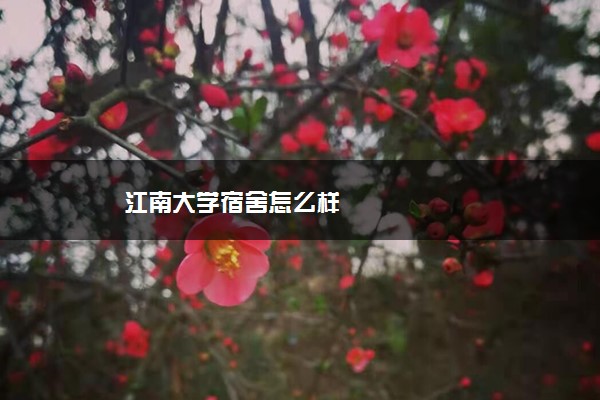 江南大学宿舍怎么样