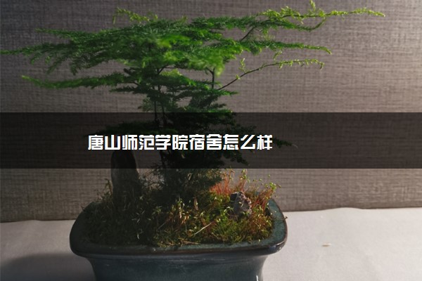 唐山师范学院宿舍怎么样