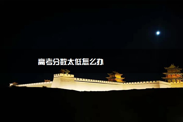 高考分数太低怎么办